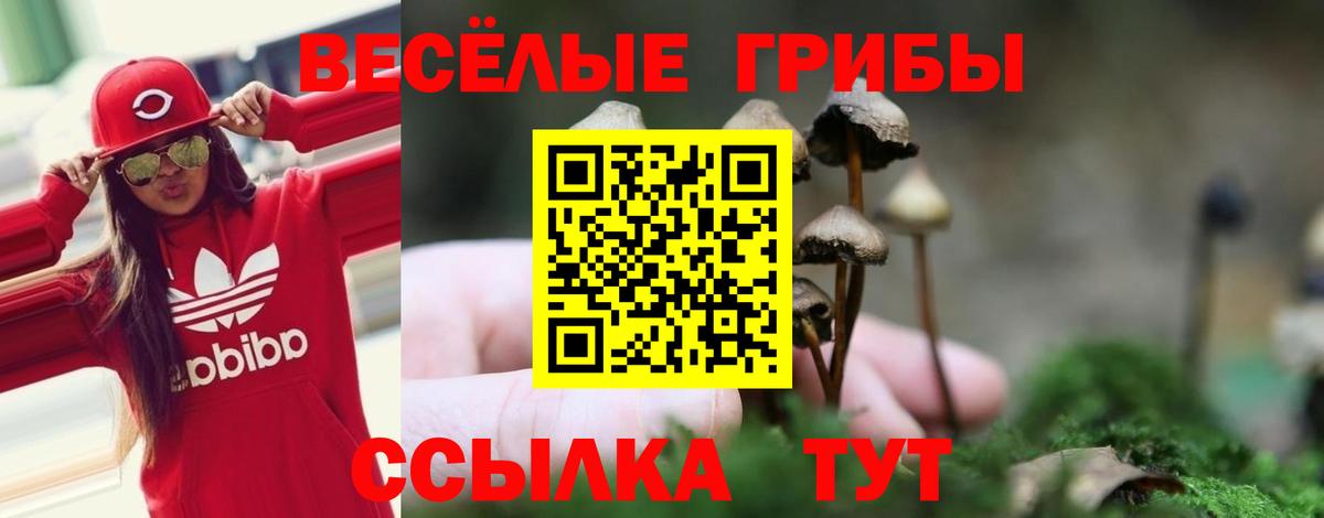 Псилоцибиновые грибы мицелий Алейск